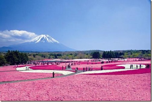 ピンク色の富士山
