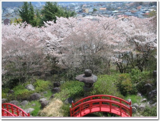 桜　ホテル神の湯温泉