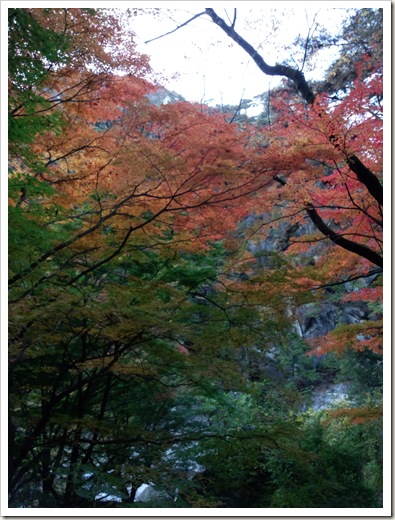 紅葉 昇仙峡