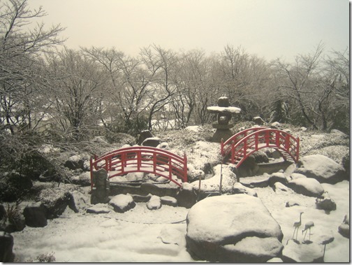 庭園