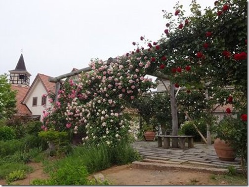 日本一長いバラの回廊 ハイジの村 バラ祭り 神の湯温泉 スタッフブログ