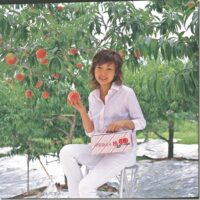 桃の収穫量が日本一！夏の桃狩り （7月上旬～8月下旬まで）