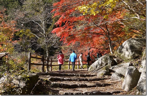 昇仙峡紅葉