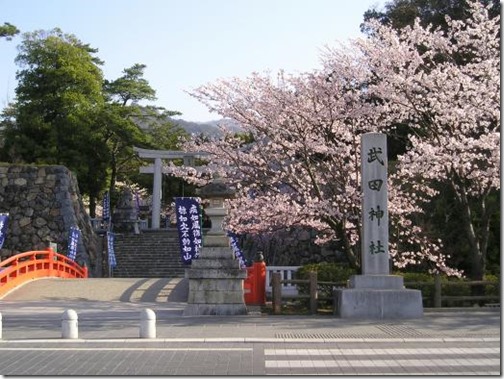 武田神社の桜