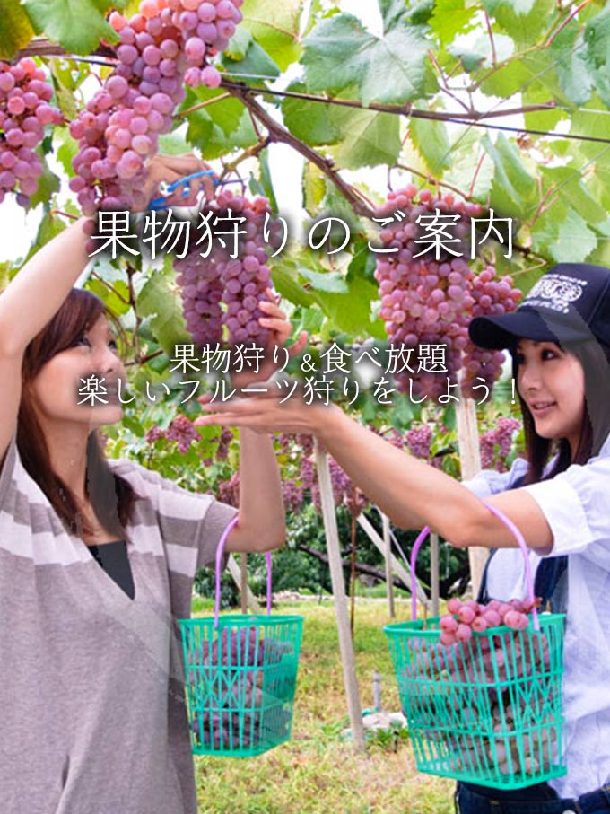 果物狩りのご案内 神の湯